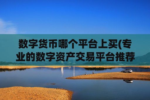 数字货币哪个平台上买(专业的数字资产交易平台推荐)