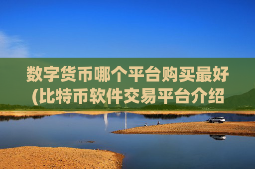 数字货币哪个平台购买最好(比特币软件交易平台介绍)