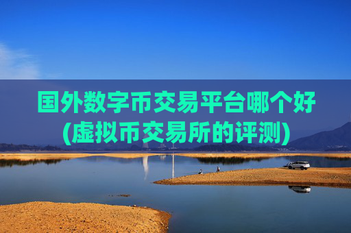 国外数字币交易平台哪个好(虚拟币交易所的评测)