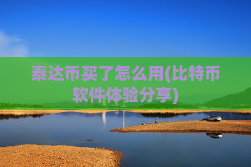 泰达币买了怎么用(比特币软件体验分享)
