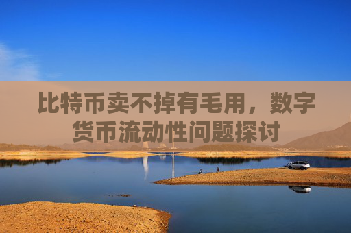 比特币卖不掉有毛用，数字货币流动性问题探讨