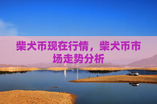 柴犬币现在行情，柴犬币市场走势分析