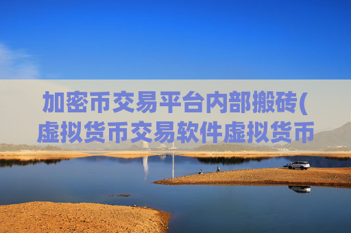 加密币交易平台内部搬砖(虚拟货币交易软件虚拟货币)