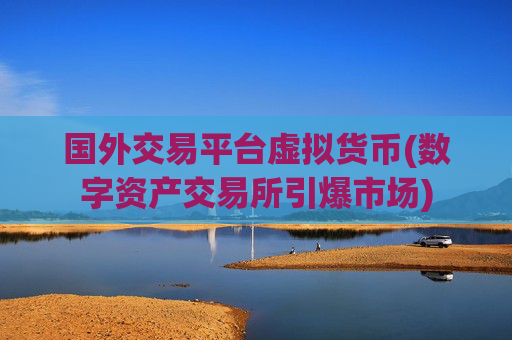 国外交易平台虚拟货币(数字资产交易所引爆市场)