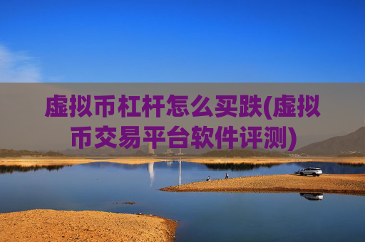 虚拟币杠杆怎么买跌(虚拟币交易平台软件评测)