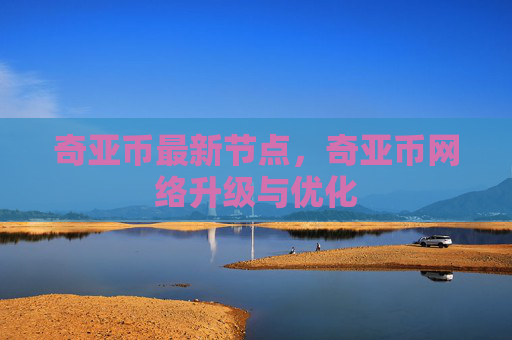 奇亚币最新节点，奇亚币网络升级与优化