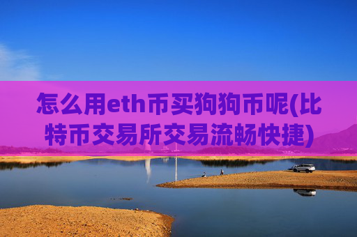 怎么用eth币买狗狗币呢(比特币交易所交易流畅快捷)