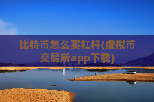 比特币怎么买杠杆(虚拟币交易所app下载)