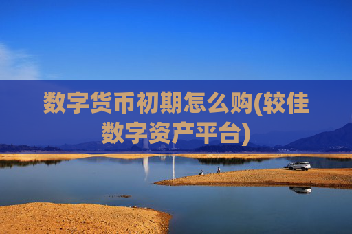 数字货币初期怎么购(较佳数字资产平台)