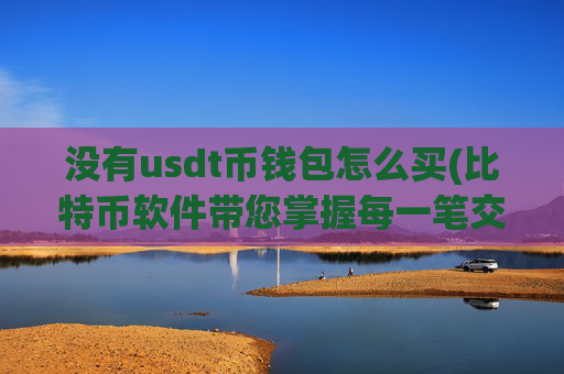 没有usdt币钱包怎么买(比特币软件带您掌握每一笔交易)