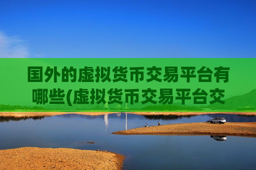 国外的虚拟货币交易平台有哪些(虚拟货币交易平台交易便捷快速)