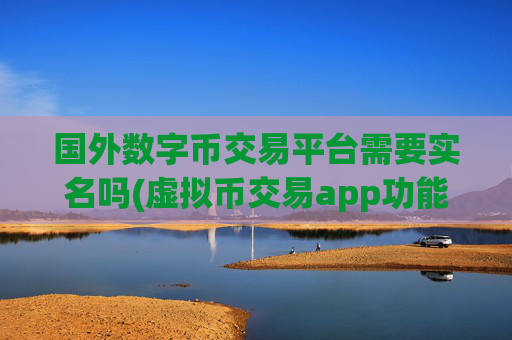 国外数字币交易平台需要实名吗(虚拟币交易app功能评测)