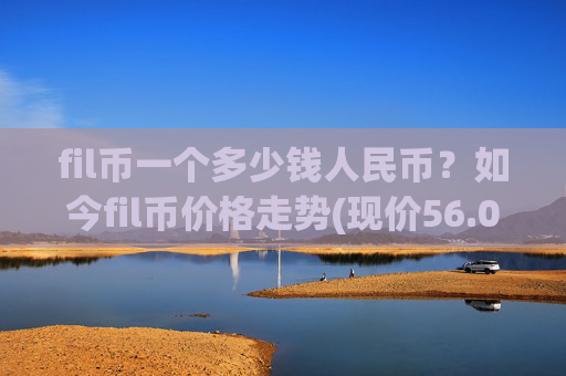 fil币一个多少钱人民币？如今fil币价格走势(现价56.0652元)