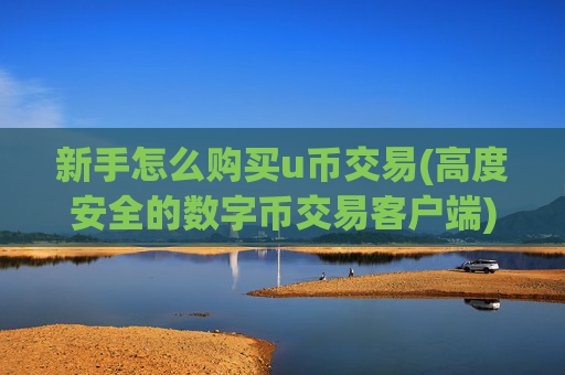 新手怎么购买u币交易(高度安全的数字币交易客户端)