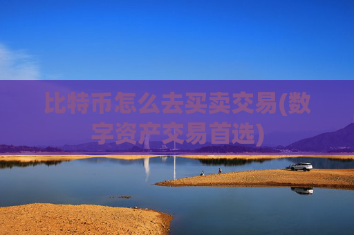 比特币怎么去买卖交易(数字资产交易首选)