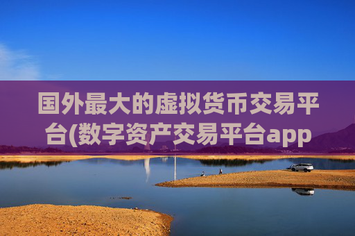 国外最大的虚拟货币交易平台(数字资产交易平台app知识大全)