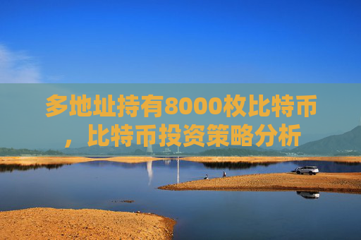 多地址持有8000枚比特币，比特币投资策略分析