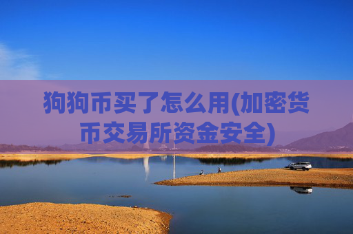 狗狗币买了怎么用(加密货币交易所资金安全)