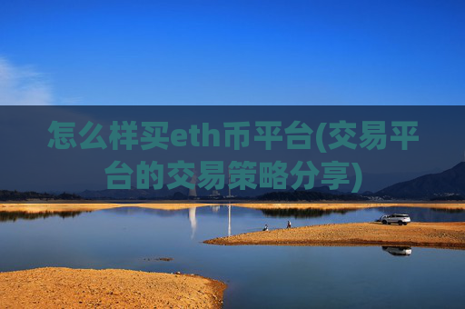 怎么样买eth币平台(交易平台的交易策略分享)