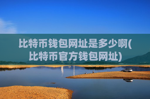 比特币钱包网址是多少啊(比特币官方钱包网址)