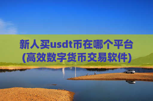 新人买usdt币在哪个平台(高效数字货币交易软件)