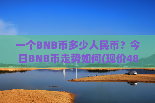 一个BNB币多少人民币？今日BNB币走势如何(现价4840.05元)