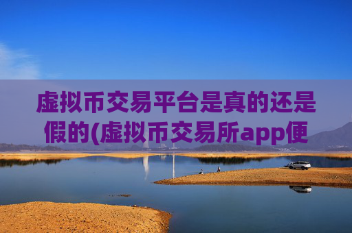 虚拟币交易平台是真的还是假的(虚拟币交易所app便捷快速交易)