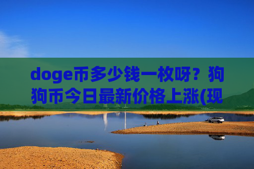doge币多少钱一枚呀？狗狗币今日最新价格上涨(现价2.3433元)