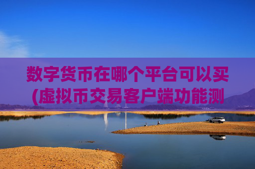 数字货币在哪个平台可以买(虚拟币交易客户端功能测评)