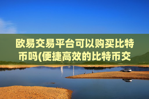 欧易交易平台可以购买比特币吗(便捷高效的比特币交易所)