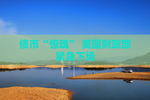 债市“惊魂” 美国财政部紧急下场