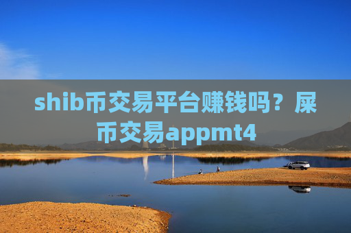 shib币交易平台赚钱吗?屎币交易appmt4