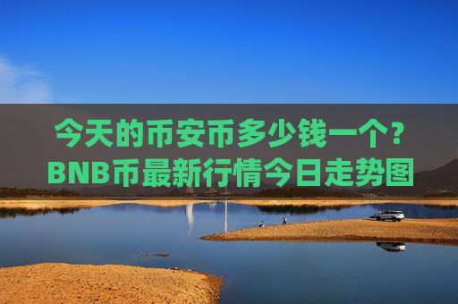 今天的币安币多少钱一个？BNB币最新行情今日走势图表(现价4854.28元)
