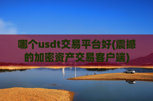 哪个usdt交易平台好(震撼的加密资产交易客户端)