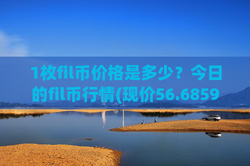 1枚fil币价格是多少？今日的fil币行情(现价56.6859元)