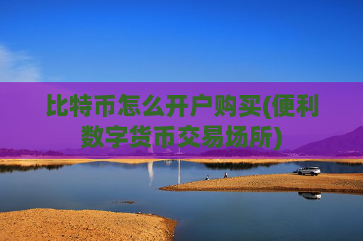 比特币怎么开户购买(便利数字货币交易场所)