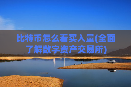 比特币怎么看买入量(全面了解数字资产交易所)