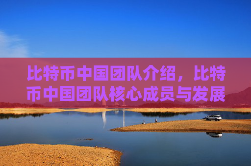 比特币中国团队介绍，比特币中国团队核心成员与发展历程