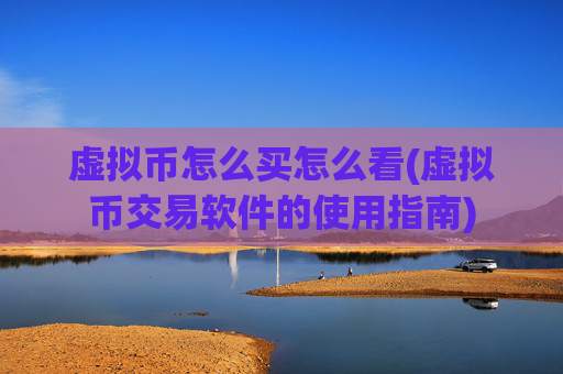 虚拟币怎么买怎么看(虚拟币交易软件的使用指南)