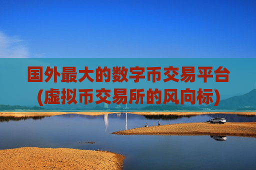 国外最大的数字币交易平台(虚拟币交易所的风向标)
