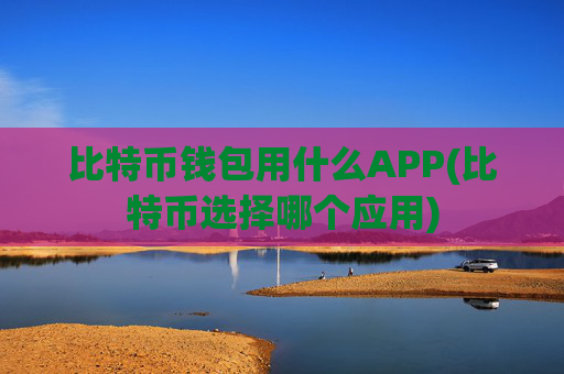 比特币钱包用什么APP(比特币选择哪个应用)