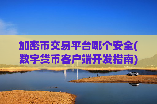 加密币交易平台哪个安全(数字货币客户端开发指南)