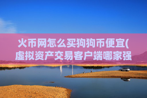 火币网怎么买狗狗币便宜(虚拟资产交易客户端哪家强)