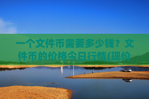 一个文件币需要多少钱？文件币的价格今日行情(现价56.2099元)
