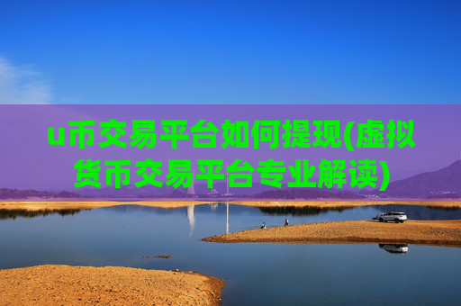 u币交易平台如何提现(虚拟货币交易平台专业解读)