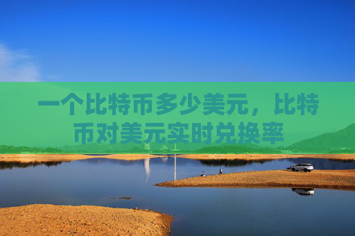 一个比特币多少美元，比特币对美元实时兑换率