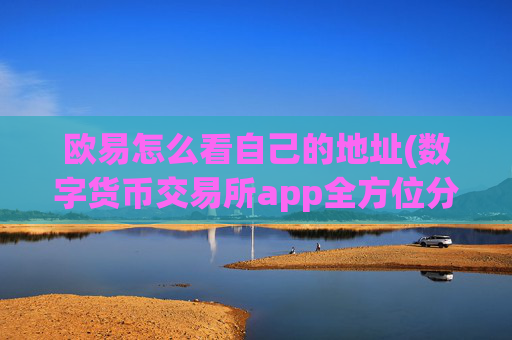 欧易怎么看自己的地址(数字货币交易所app全方位分析)
