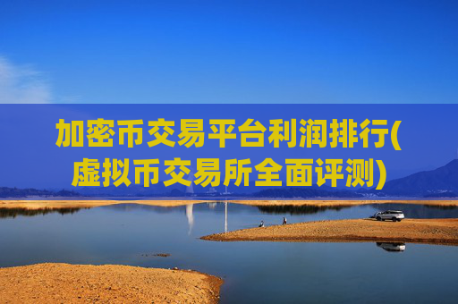 加密币交易平台利润排行(虚拟币交易所全面评测)