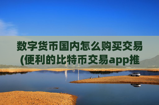 数字货币国内怎么购买交易(便利的比特币交易app推荐)