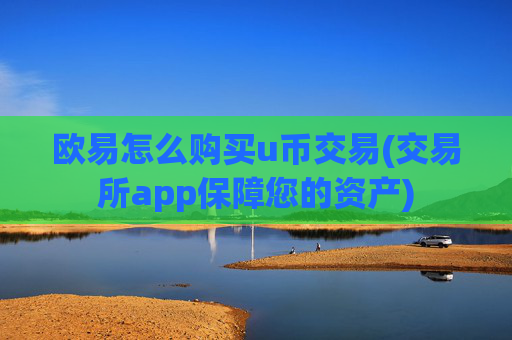 欧易怎么购买u币交易(交易所app保障您的资产)